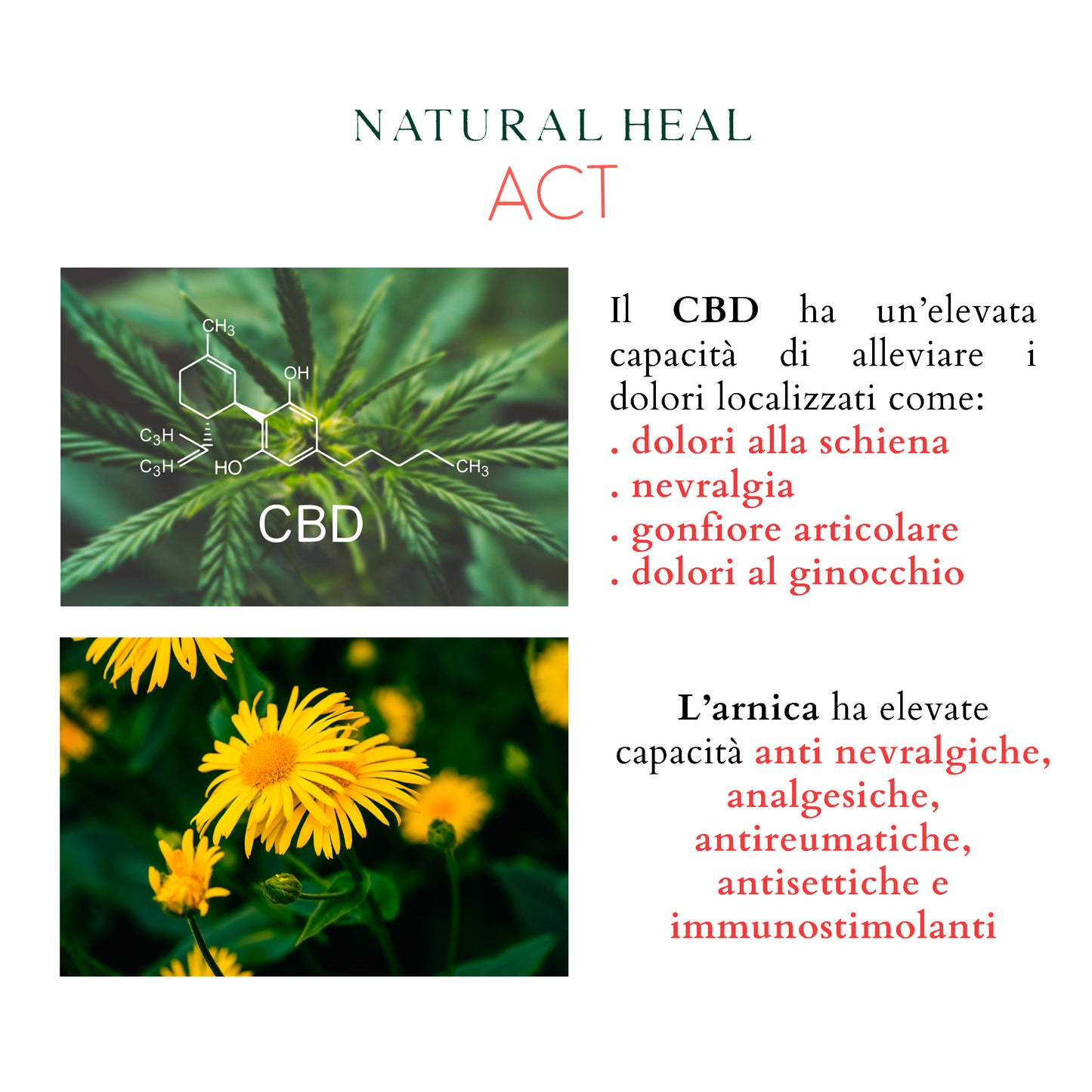 NATURAL HEAL ACT Pomata Antinfiammatoria Forte